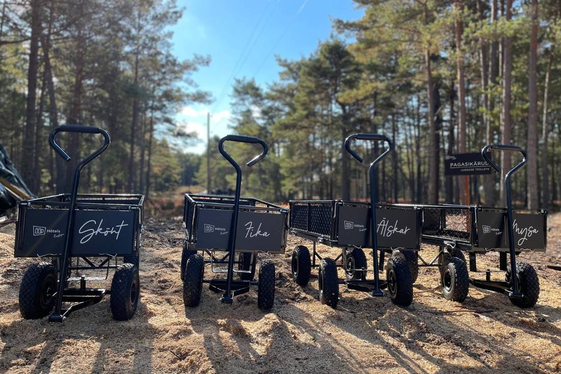 Neli nimelist pagasikäru: igal majal oma, parklast ukseni