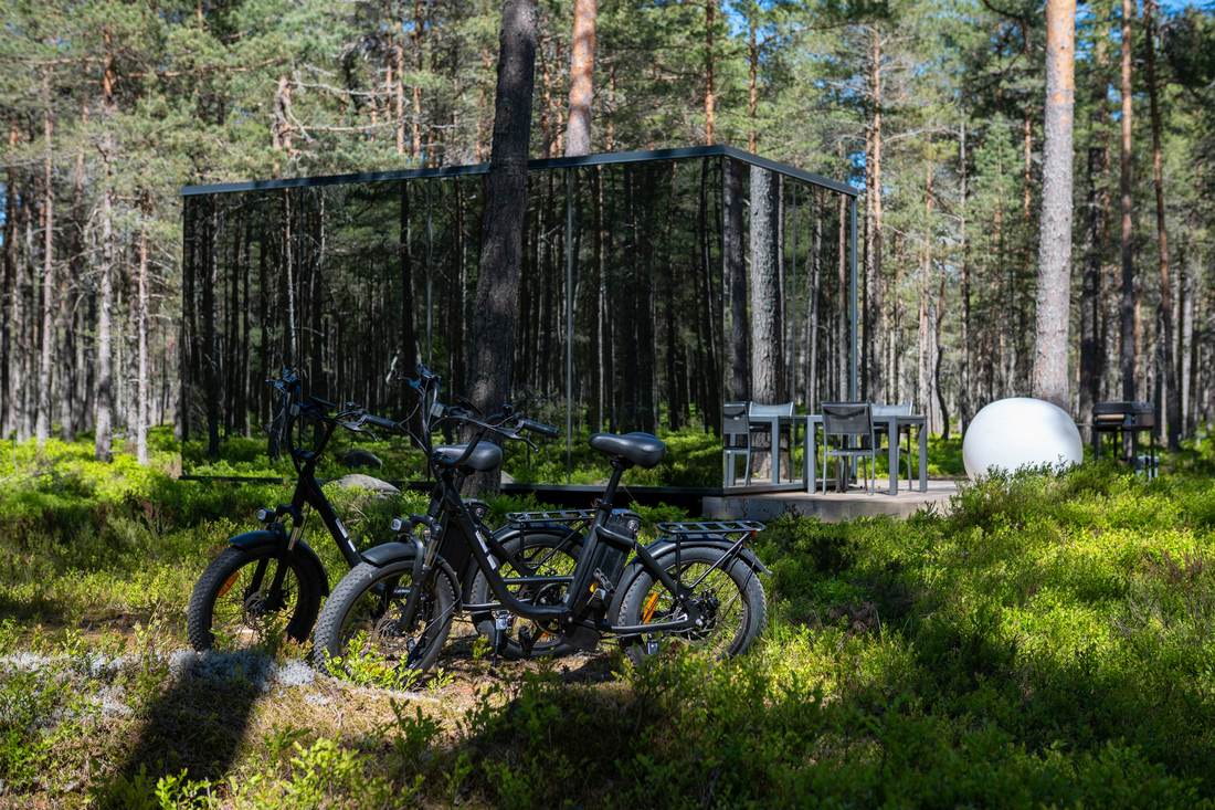 Elektrilised fatbike'id metsateel