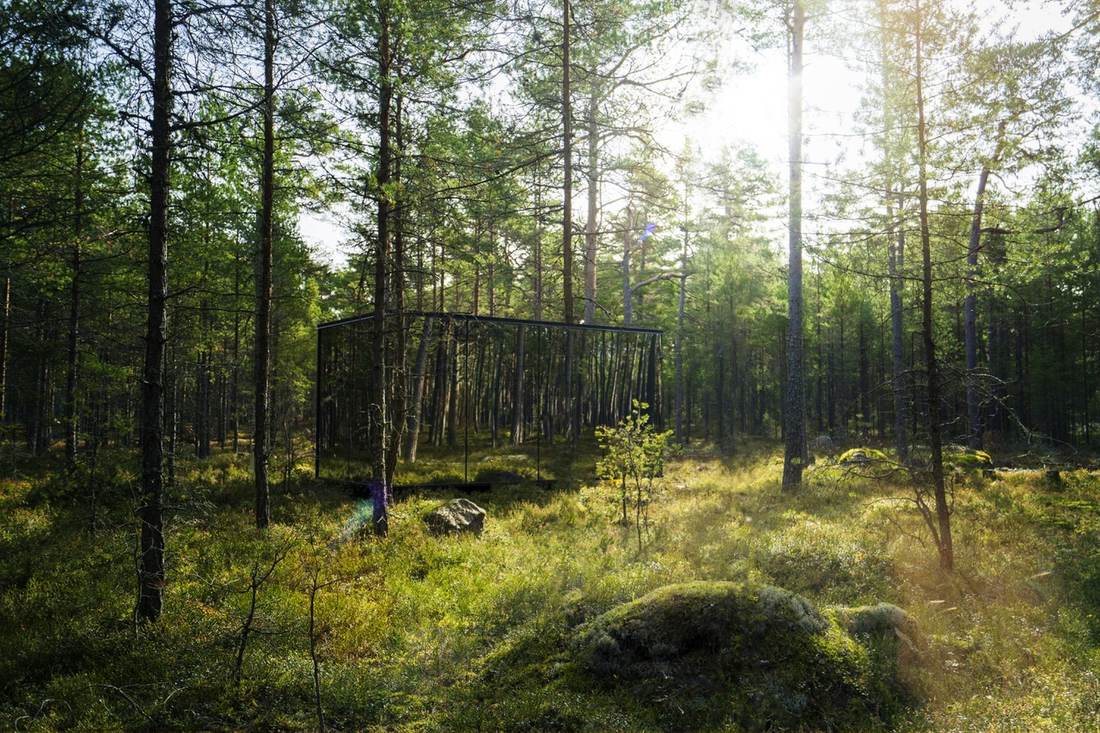 Päikeseline metsarada, mis viib randa