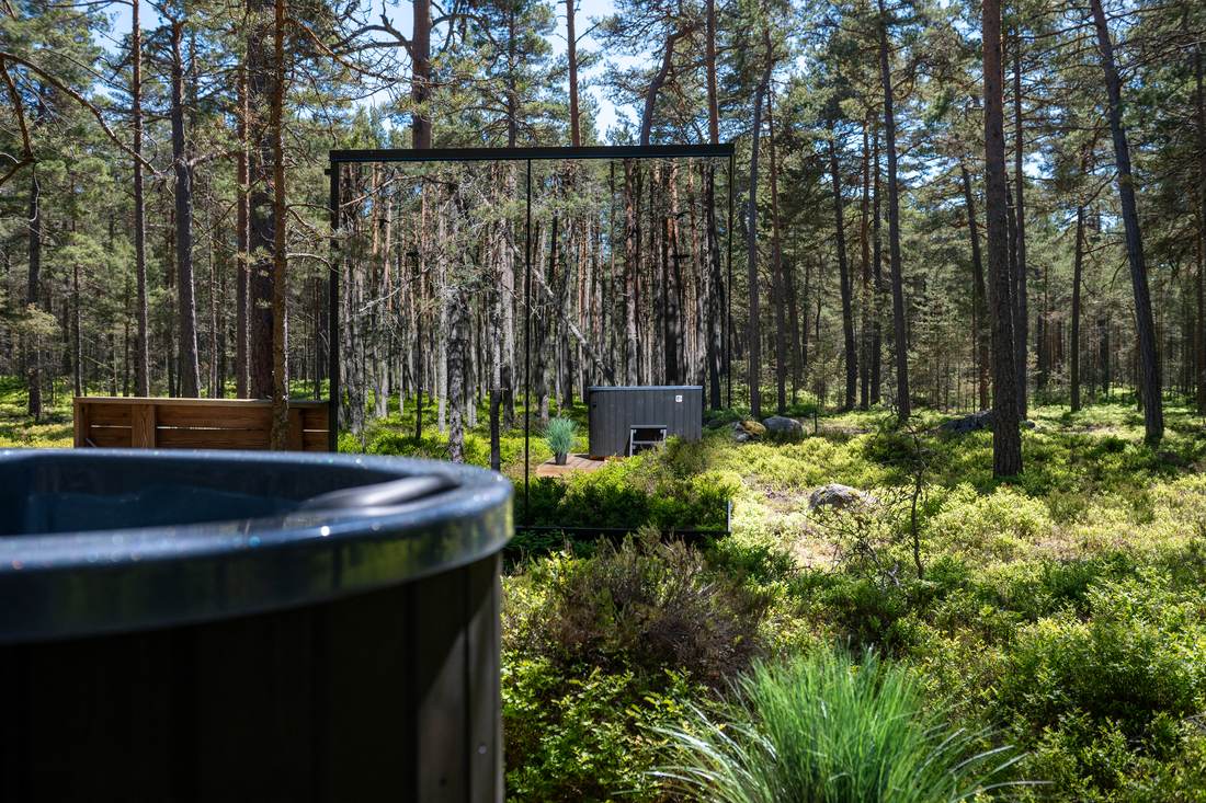Kümblustünn peegelmaja kõrval männimetsas